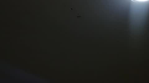 Snapshot of oriana_111 chatting on 05-04-26, 11:28 oriana_111 online show from 05-04-26, 11:28