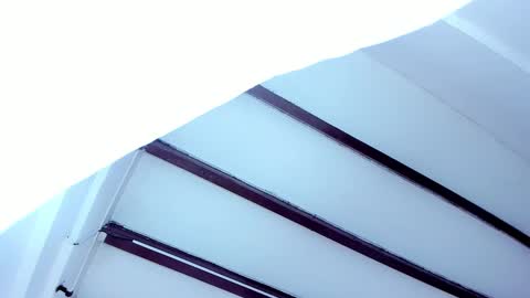 Miss Guzman  online show from 02-05-25, 11:44