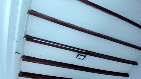 Miss Guzman  online show from 02-06-25, 12:16