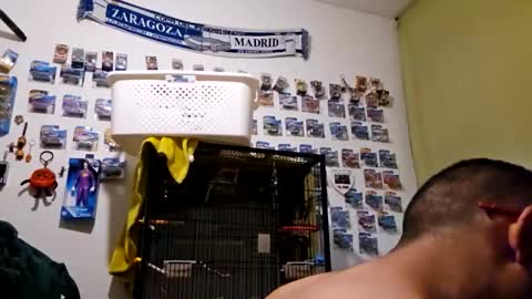 orlandovilla48 online show from 04-19-26, 05:12