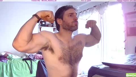 Snapshot of osito_blanco chatting on 11-13-25, 08:19 Osito Blanco online show from 11-13-25, 08:19