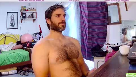 Snapshot of osito_blanco chatting on 12-04-25, 11:19 Osito Blanco online show from 12-04-25, 11:19