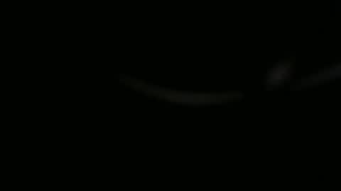 Snapshot of ossibottom chatting on 11-01-25, 10:01 Ossi online show from 11-01-25, 10:01