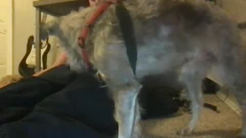 Snapshot of ossignol_xxx chatting on 01-22-25, 04:44 rossignol online show from 01-22-25, 04:44