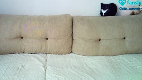 Snapshot of ostin_meoww chatting on 03-08-25, 05:17 Ostin online show from 03-08-25, 05:17