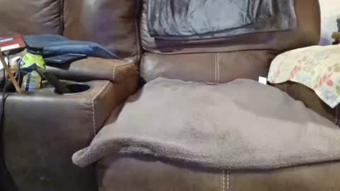 outdoorsmanmark71 online show from 12-19-24, 02:12