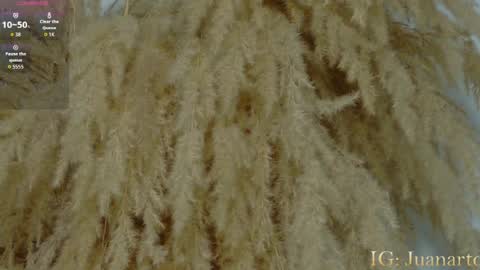 Snapshot of owen_222 chatting on 07-17-26, 11:06 Owen online show from 07-17-26, 11:06