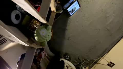 Snapshot of oyeblancki chatting on 01-03-25, 04:22 CoCreatorBlancki online show from 01-03-25, 04:22