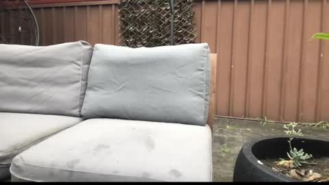 Snapshot of ozsurferboy773375 chatting on 09-27-25, 12:59 Hrny aussie surfer online show from 09-27-25, 12:59