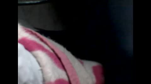 p_ro_rok online show from 02-07-26, 02:04