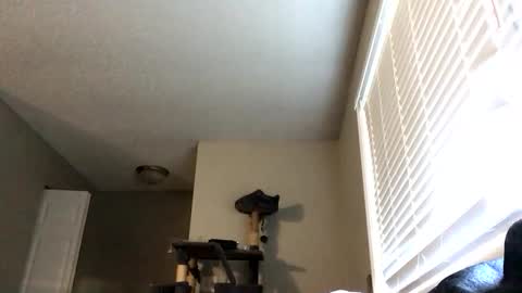 Snapshot of paigechantel chatting on 02-19-26, 11:45 paigechantel online show from 02-19-26, 11:45