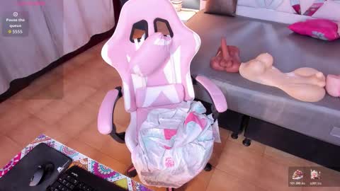 PALOMA 3 online show from 01-12-26, 11:15