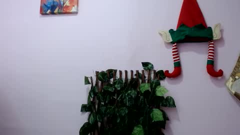 Pamela Claus online show from 12-30-24, 03:46