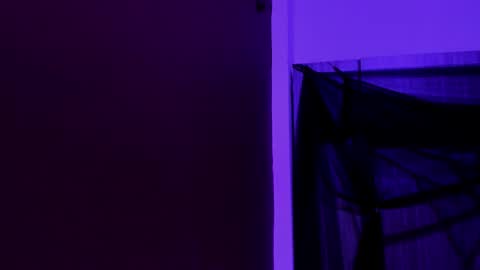  P A M  online show from 11-23-25, 04:12