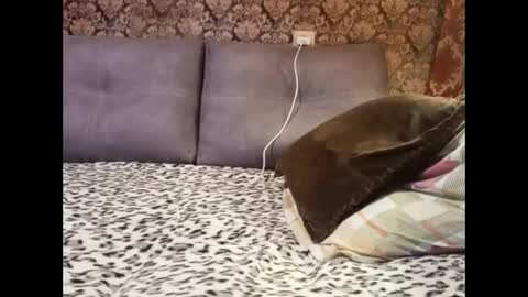 Pancamo online show from 01-05-25, 06:45