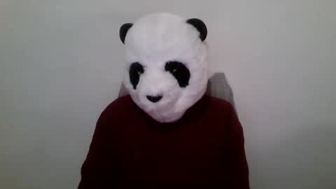 Panda online show from 01-23-25, 12:52