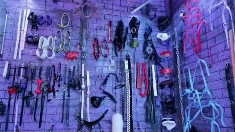 PandoraNez online show from 04-15-26, 02:18