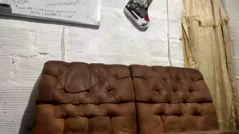 Snapshot of panthers_room chatting on 12-19-24, 10:56 panthers_room online show from 12-19-24, 10:56