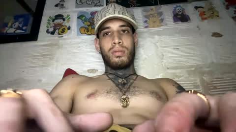 Snapshot of panthers_room chatting on 01-12-25, 08:03 panthers_room online show from 01-12-25, 08:03