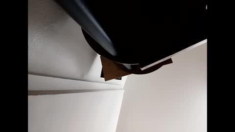 pantieplaytime52532 online show from 03-22-26, 07:56