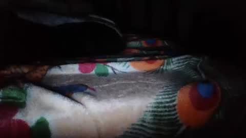 papi mexicano en boxers online show from 11-20-25, 06:46