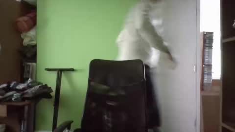 Papito online show from 03-11-25, 05:24