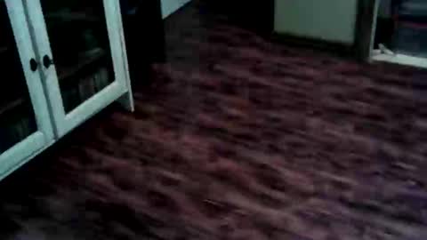 Ricky online show from 05-25-26, 03:51
