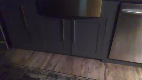 Parker online show from 01-17-26, 05:12