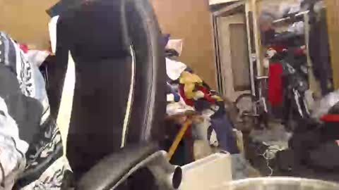 pascal88881 online show from 12-02-24, 06:10