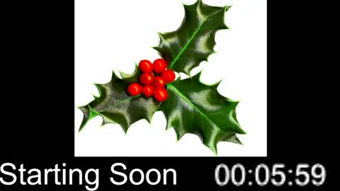 Passion4Fashion online show from 12-25-24, 09:00