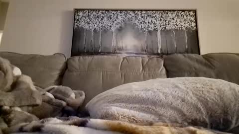 patrick247288 online show from 02-12-25, 12:22