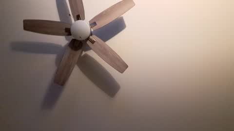 patrick247288 online show from 09-09-25, 04:34