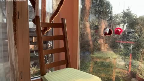 Andreea online show from 03-16-26, 05:44