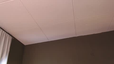 Paul online show from 12-05-25, 01:31