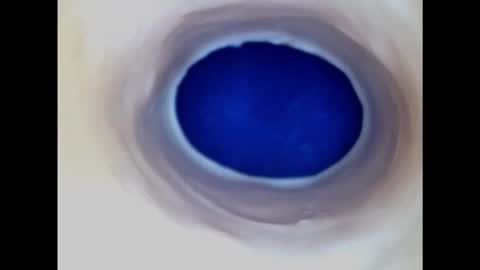 Paula 18 Aninhos online show from 02-20-25, 03:01