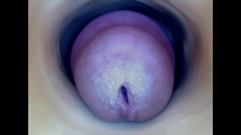 Paula 18 Aninhos online show from 05-20-26, 03:13