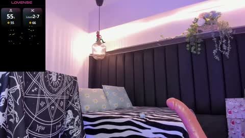 Snapshot of pawggirl18 chatting on 12-17-24, 08:54 Dani online show from 12-17-24, 08:54