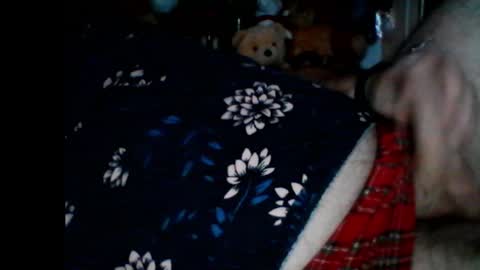 Snapshot of pbemid chatting on 01-06-25, 08:57 Papabear online show from 01-06-25, 08:57