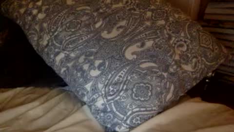 Snapshot of pea23 chatting on 02-27-26, 11:38 pea23 online show from 02-27-26, 11:38