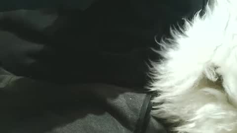 Snapshot of peacheshubby chatting on 05-03-26, 01:11 hard4u online show from 05-03-26, 01:11