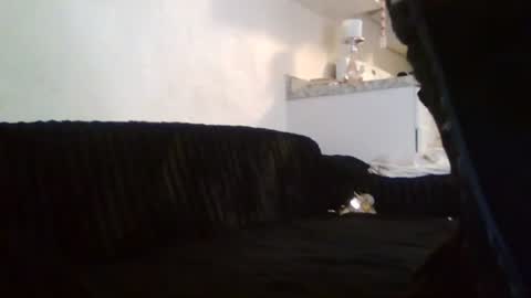 Snapshot of peachxpatron chatting on 07-20-26, 04:38 peachxpatron online show from 07-20-26, 04:38