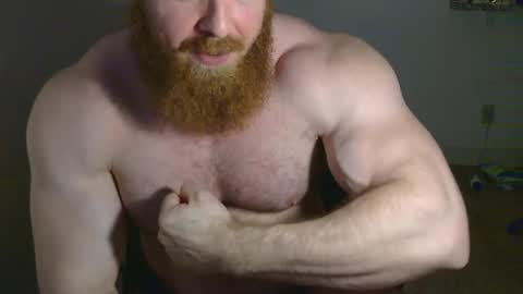 Pec inspector online show from 02-26-25, 03:42