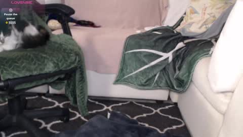 NEXT CHILL SESH  1130 930pm -ish PEEK online show from 03-06-25, 02:19