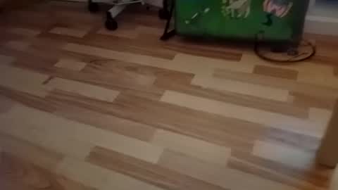 Snapshot of pepe_hard chatting on 03-02-26, 06:58 pepe_hard online show from 03-02-26, 06:58