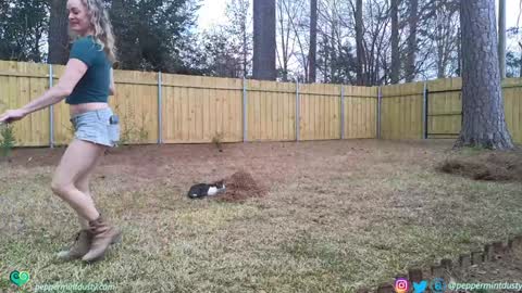 Peppermint and Dusty  online show from 03-03-26, 07:42