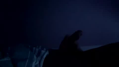 perfect427482577143 online show from 02-26-26, 08:24