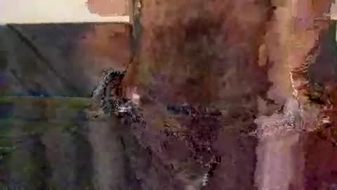 Snapshot of perfect_ftm chatting on 11-12-25, 08:52 perfectFTM online show from 11-12-25, 08:52