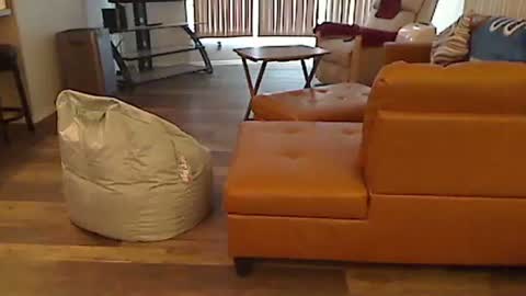 perfecto1957 online show from 01-05-25, 04:48