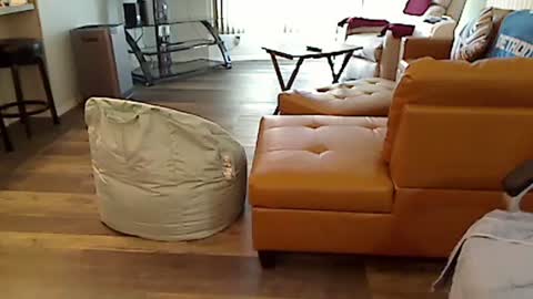 perfecto1957 online show from 03-04-25, 02:21