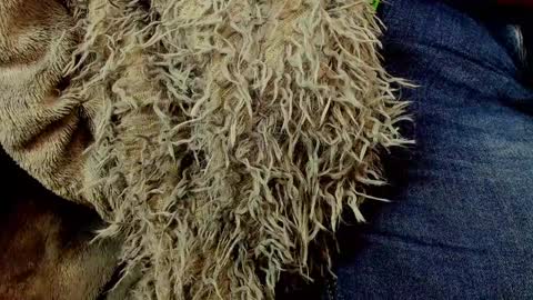 horror flying on the wings of the night.... online show from 01-25-25, 01:30